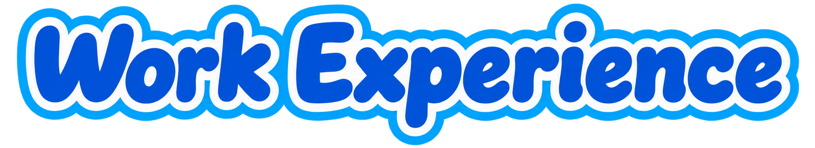 Work Experience